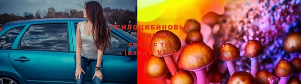 прущий лед Алексеевка