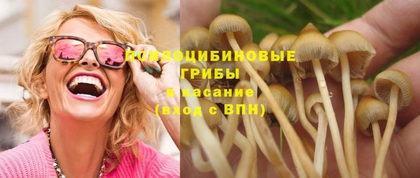 прущий лед Алексеевка