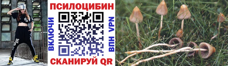 кракен   магазин    Арамиль  Галлюциногенные грибы GOLDEN TEACHER 